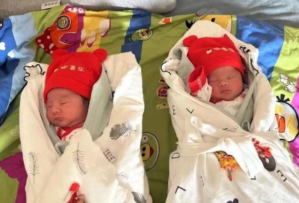 垦利代怀助孕机构双胞胎